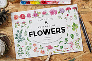 Watercolor Flowers Pack Vol 1, an Illustration by emine (Thumbnail 1 of 7)