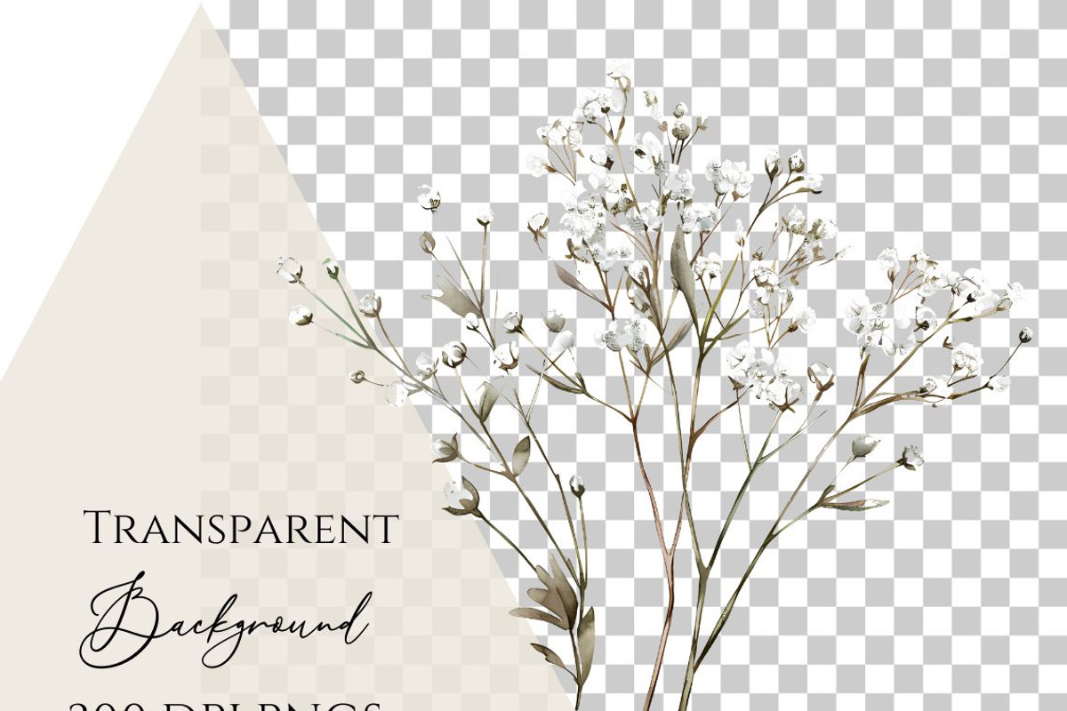 Gypsophila clipart, Baby Breath PNG, a Decorative Illustration by Invite to Clipart (Photo 7 of 7)