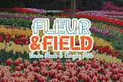 Petal Types | Fun Hand Drawn Font, a Handwritten Font by gracetype_studio (Thumbnail 6 of 12)