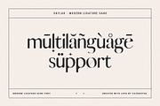 skylar - ligature sans font family, a Sans Serif Font by SilverStag Type Foundry (Thumbnail 15 of 20)