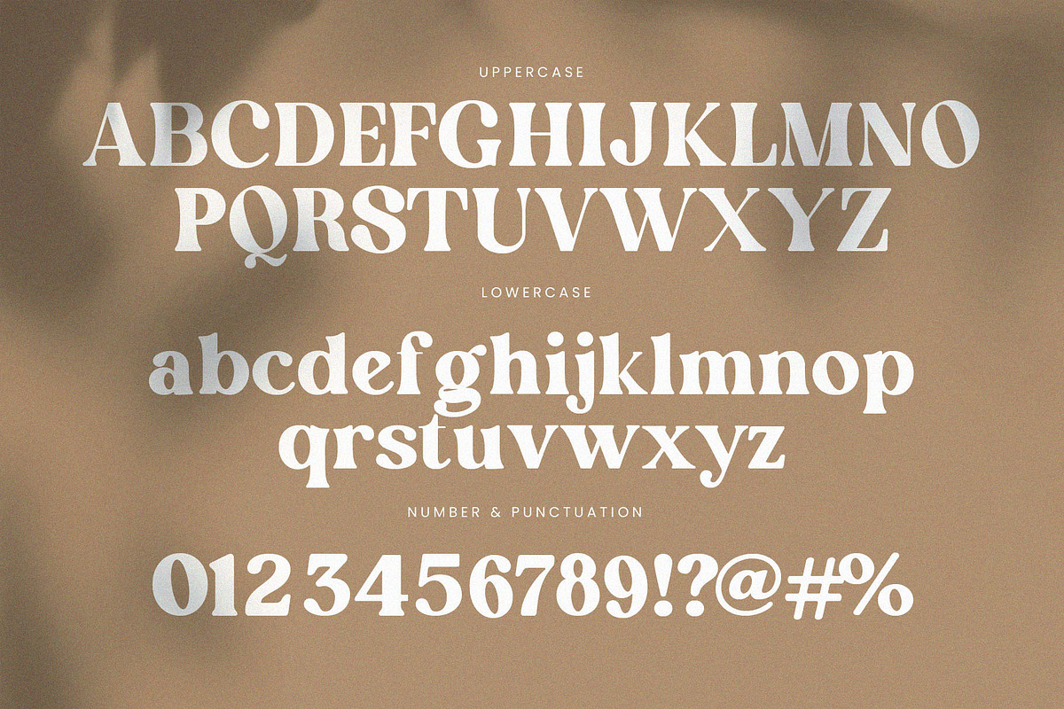 English Island Ligature Serif Font, a Serif Font by Graphicxell (Photo 8 of 11)