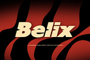 Belix, a Sans Serif Font by khurasan (Thumbnail 1 of 6)