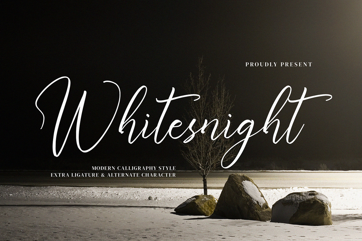 Whitesnight, a Script Font by Goresan Studio (Photo 1 of 15)