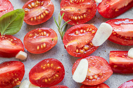 Fresh tomato slices with herbs, a Food & Drink Photo by Olena Rudo