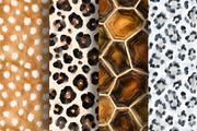 Watercolor Seamless Animal Patterns, a Pattern Graphic by Iryna Denysova (Thumbnail 5 of 10)