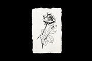 Cottagecore Bundle, an Object Graphic by Annie Konst (Thumbnail 13 of 18)