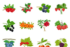 Colorful Berries Icons Set