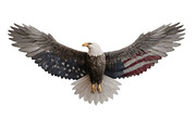 American Eagle Patriotic flag 4 July, a Graphic by VetalStock (Thumbnail 2 of 11)