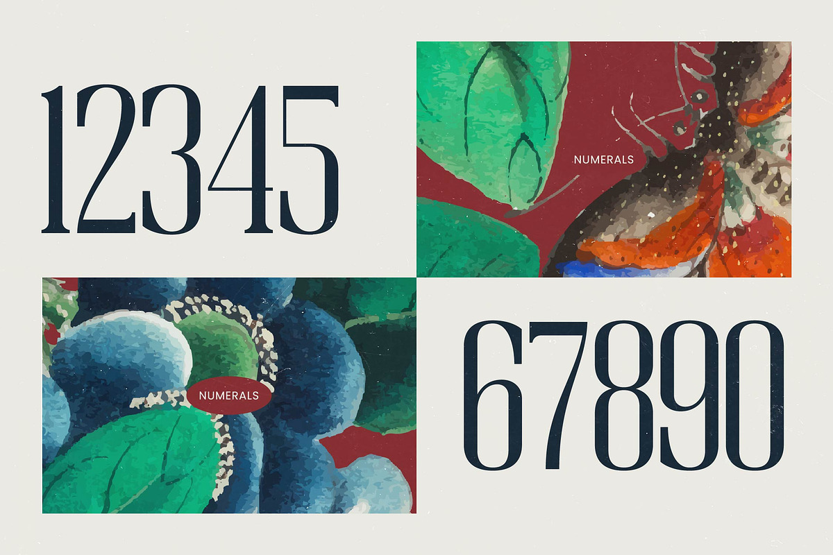 Broswick Bold Tall Display Serif, a Serif Font by timelesstype.co (Photo 6 of 20)