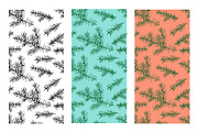 Winter botanical patterns, a Seasonal Illustration by Robusta (Thumbnail 6 of 8)
