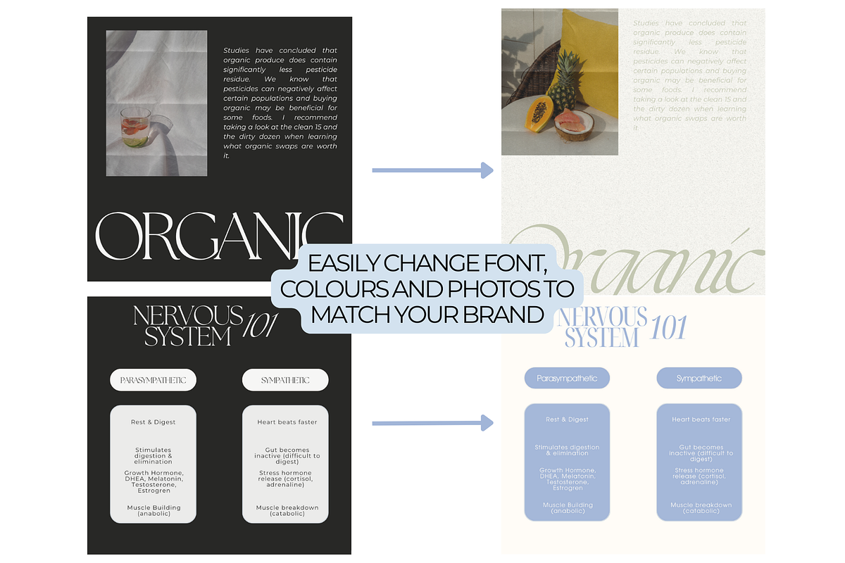 Wellness Coach Template Bundle, a Social Media Template by digitaldispositions (Photo 4 of 8)