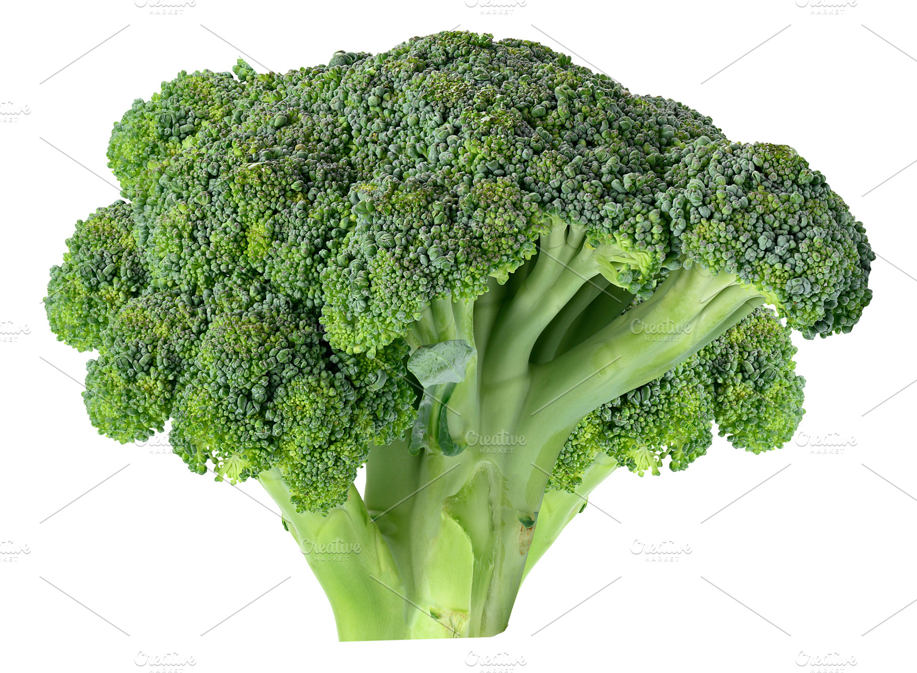 Fresh green head of broccoli on isolated background, close up, a Food & Drink Photo by ndanko