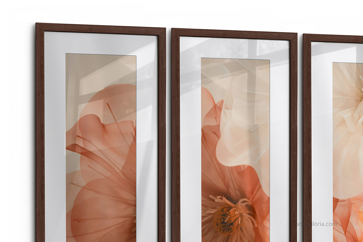 Triptych Photo Frame Mockup – R3x1, a Merchandise Mockup by Mockups by Carlos Viloria (Photo 4 of 7)