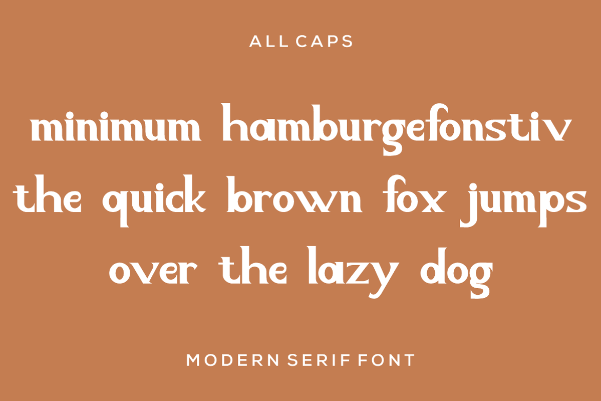 Bopak modern sans serif font, a Sans Serif Font by alanwarstd (Photo 2 of 5)