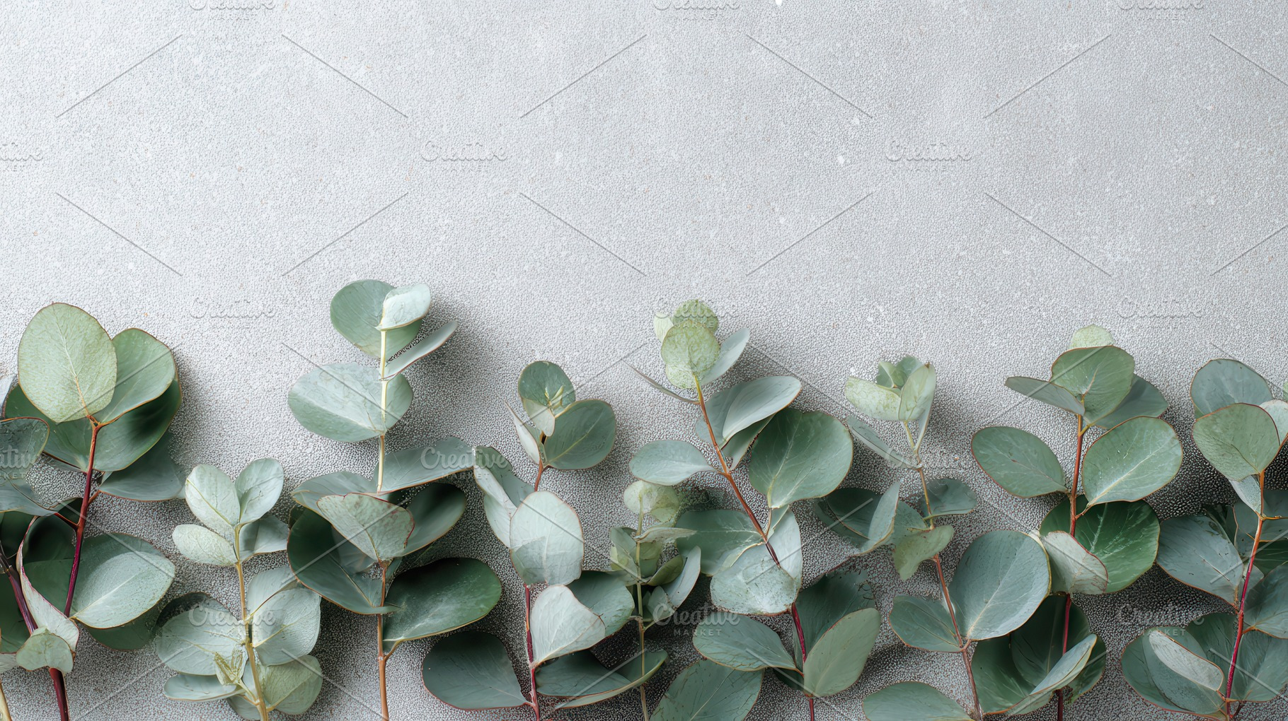 Eucalyptus leaves lay on gray, a Photo by Pavel_design