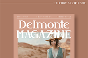 Gabriela Spark Luxury Serif Font, a Serif Font by Storytype Studio (Thumbnail 4 of 8)