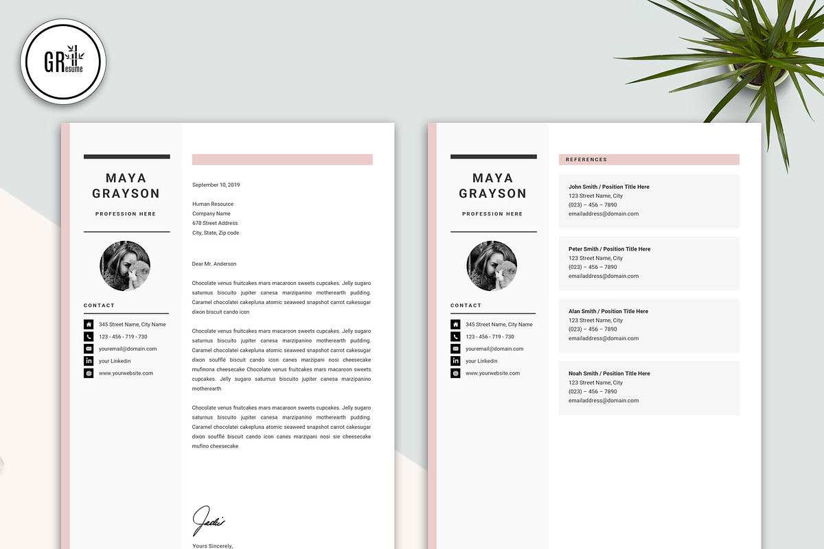 Professional Resume CV Template, a Resume Template by GResume (Photo 4 of 7)