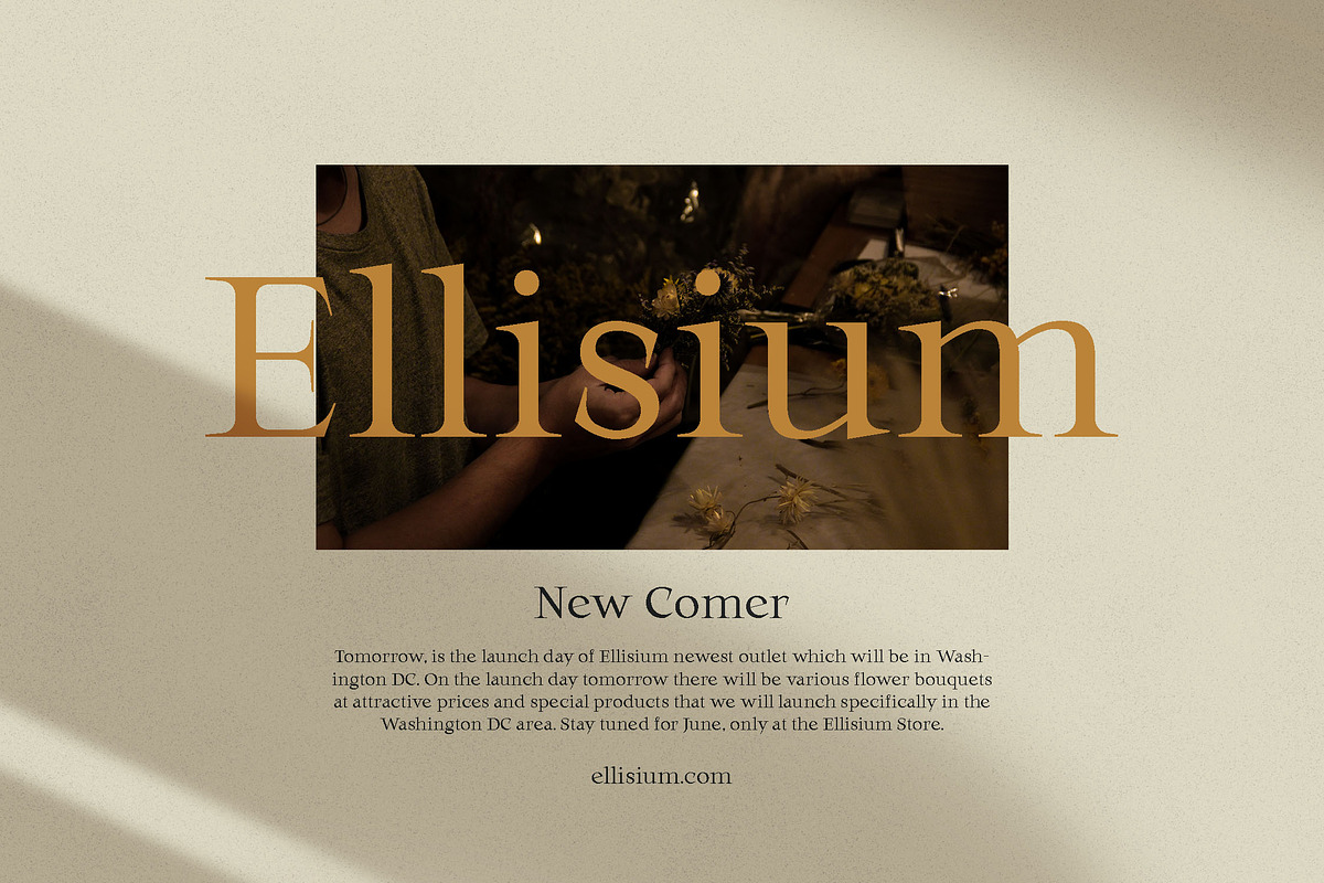 Benelio - Sharp Serif, a Serif Font by Makaryo Collective (Photo 7 of 11)