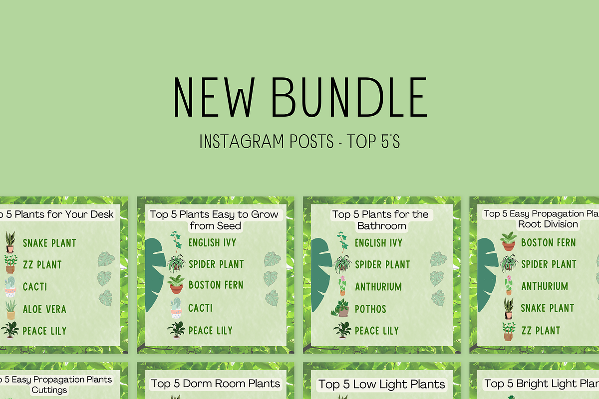 10 Canva Plant Top 5s Instagram Post, a Social Media Template by Emerald Eyes Design (Photo 5 of 5)