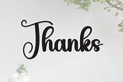 Augusta | Script Font, a Handwritten Font by Scratchones (Thumbnail 9 of 9)