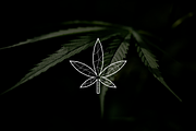 Geometric Minimalist Cannabis Logo, a Branding & Logo Template by Luxury Logos (Thumbnail 2 of 4)