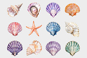Watercolor Seashell Clipart, a Seasonal Illustration by Design Market (Thumbnail 3 of 5)