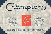 Railyouth - Monoline Script, a Script Font by Letterhend Studio (Thumbnail 6 of 8)