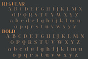 Cecilia | Fancy Serif Family, a Serif Font by MchCrafter (Thumbnail 10 of 15)