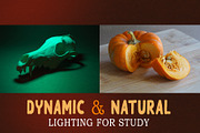 Autumn Themed Still Life Reference, a Holiday Photo by Lane Draws (Thumbnail 3 of 6)