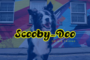 Bamboo, a Font by Incools (Thumbnail 4 of 6)