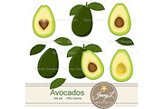 Avocado Digital Papers and Clipart, a Pattern Graphic by JennyL Designs (Thumbnail 2 of 7)