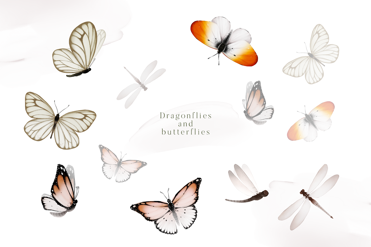 Bronte | Botanical set | 280+ images, an Illustration by Karma (Photo 30 of 39)