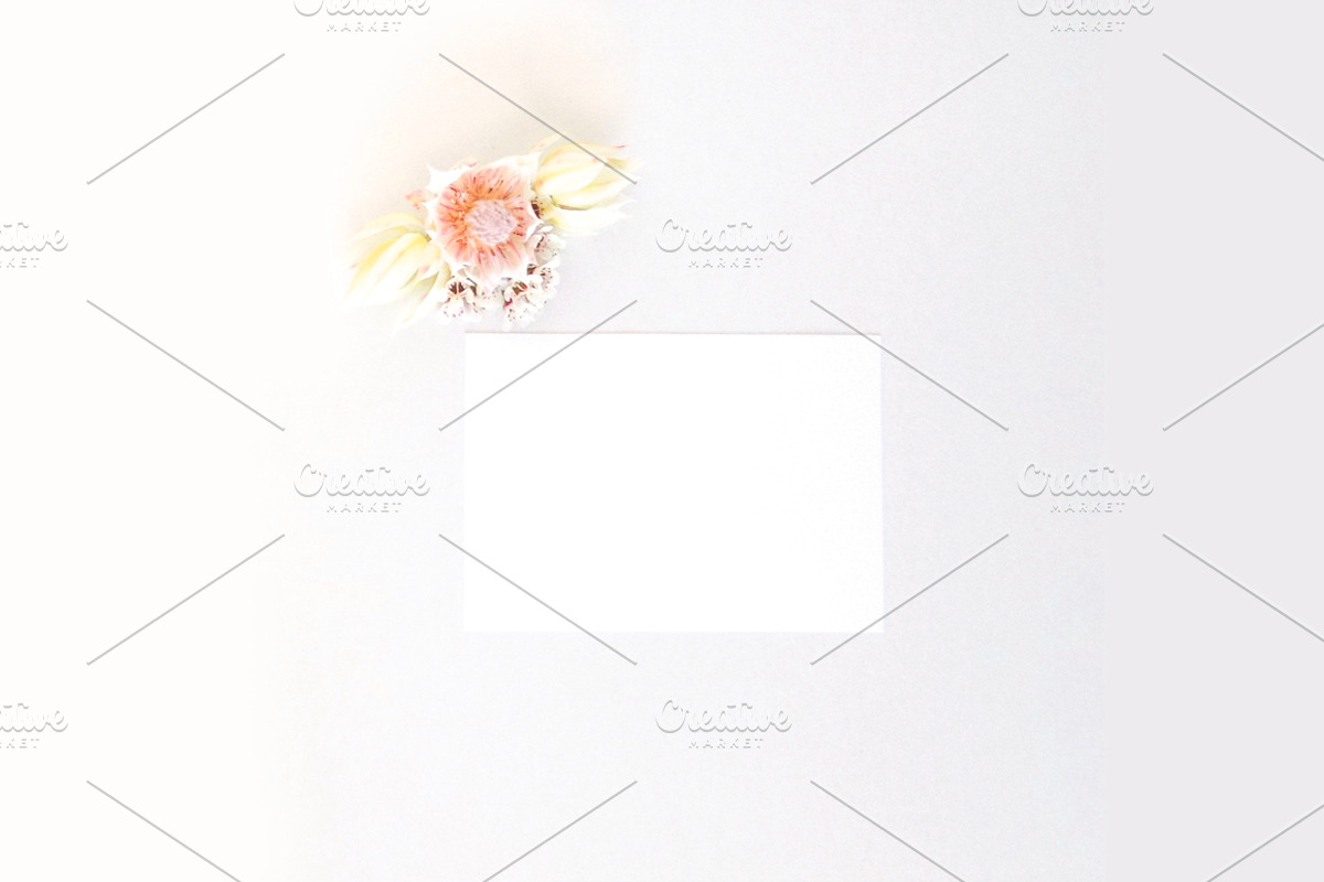Blushing Bride 4, a Product Mockup by Ivy Blue