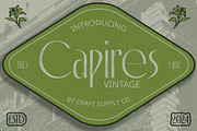 Capires Vintage, a Sans Serif Font by Craft Supply Co. (Thumbnail 1 of 8)