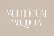 LITERACY Modern and Stylish Serif, a Serif Font by Storytype Studio (Thumbnail 12 of 15)