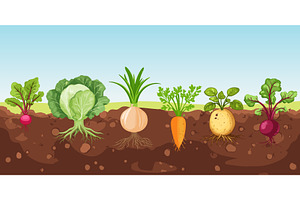 Planted vegetable in the ground, a Food Illustration by Valerie Bodnar