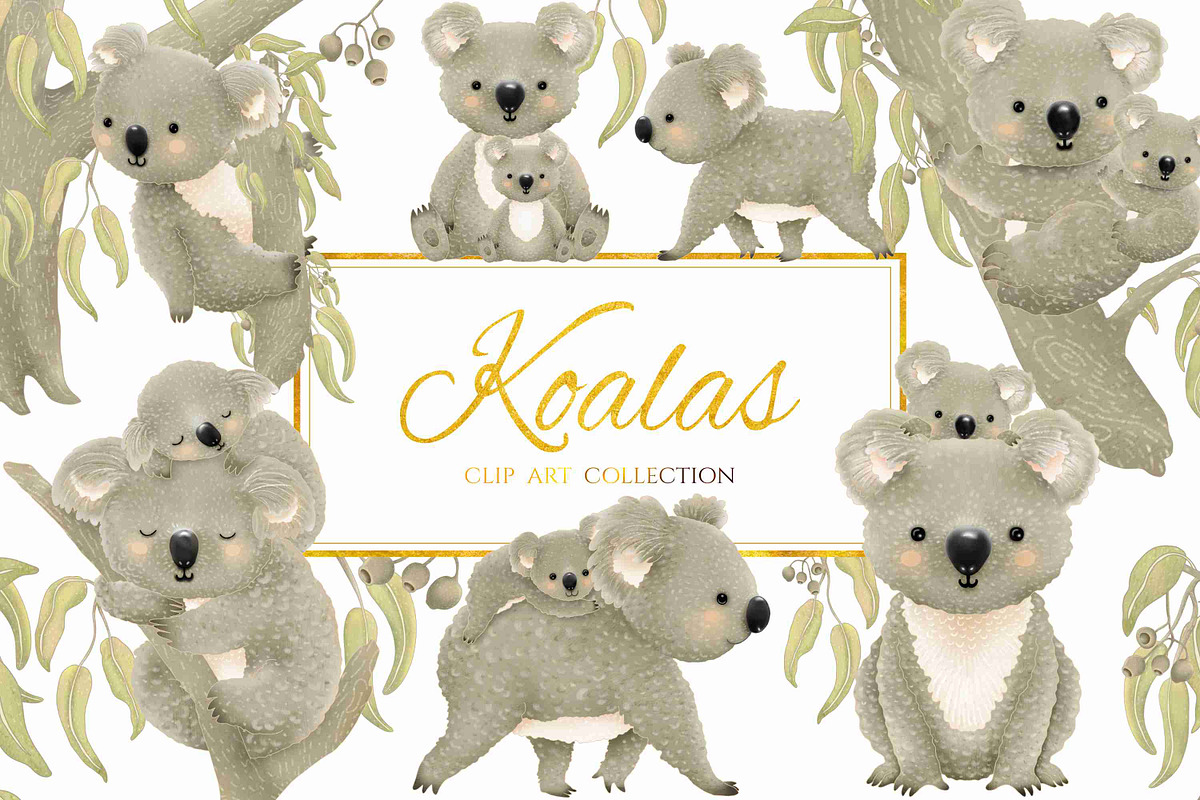 Koalas Collection | 22 Elements, an Animal Illustration by Jen Digital Art (Photo 1 of 7)