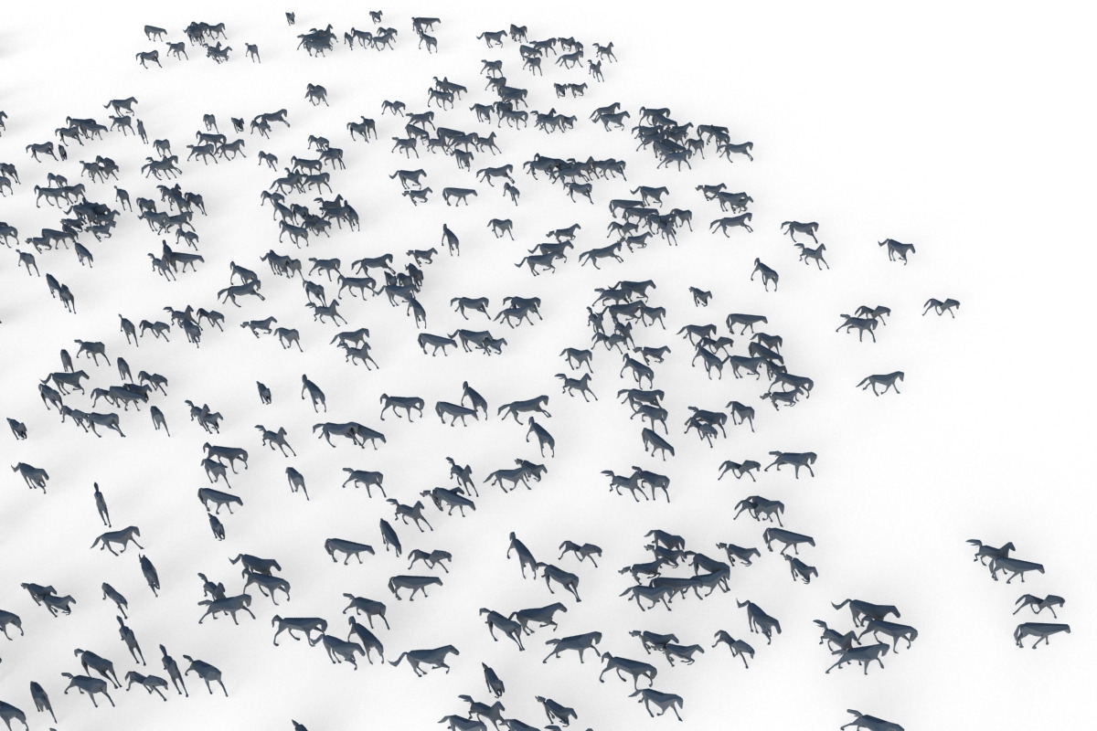 Low Poly Horses Pack, an Animal 3D Model by Tedi Permana (Photo 23 of 28)