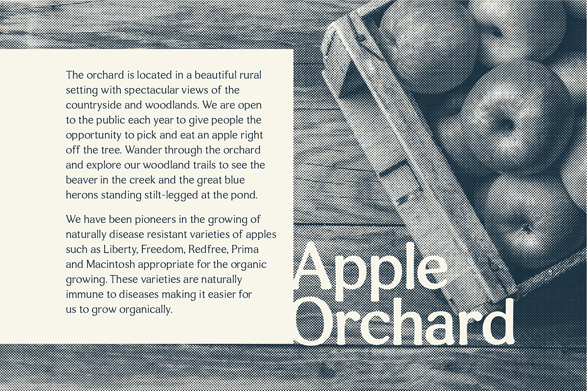 Heirloom: A Good-Natured Font preview 7
