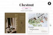 Chestnut social media template, a Social Media Template by Chanut is industries (Thumbnail 2 of 8)