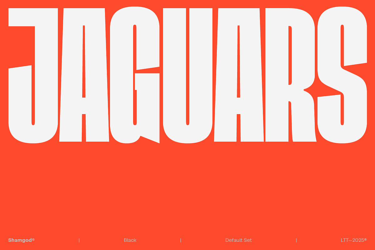 Shamgod, a Sans Serif Font by Latinotype (Photo 4 of 14)