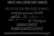 Elegant Sans Font Family, a Sans Serif Font by Royaltype (Thumbnail 5 of 11)