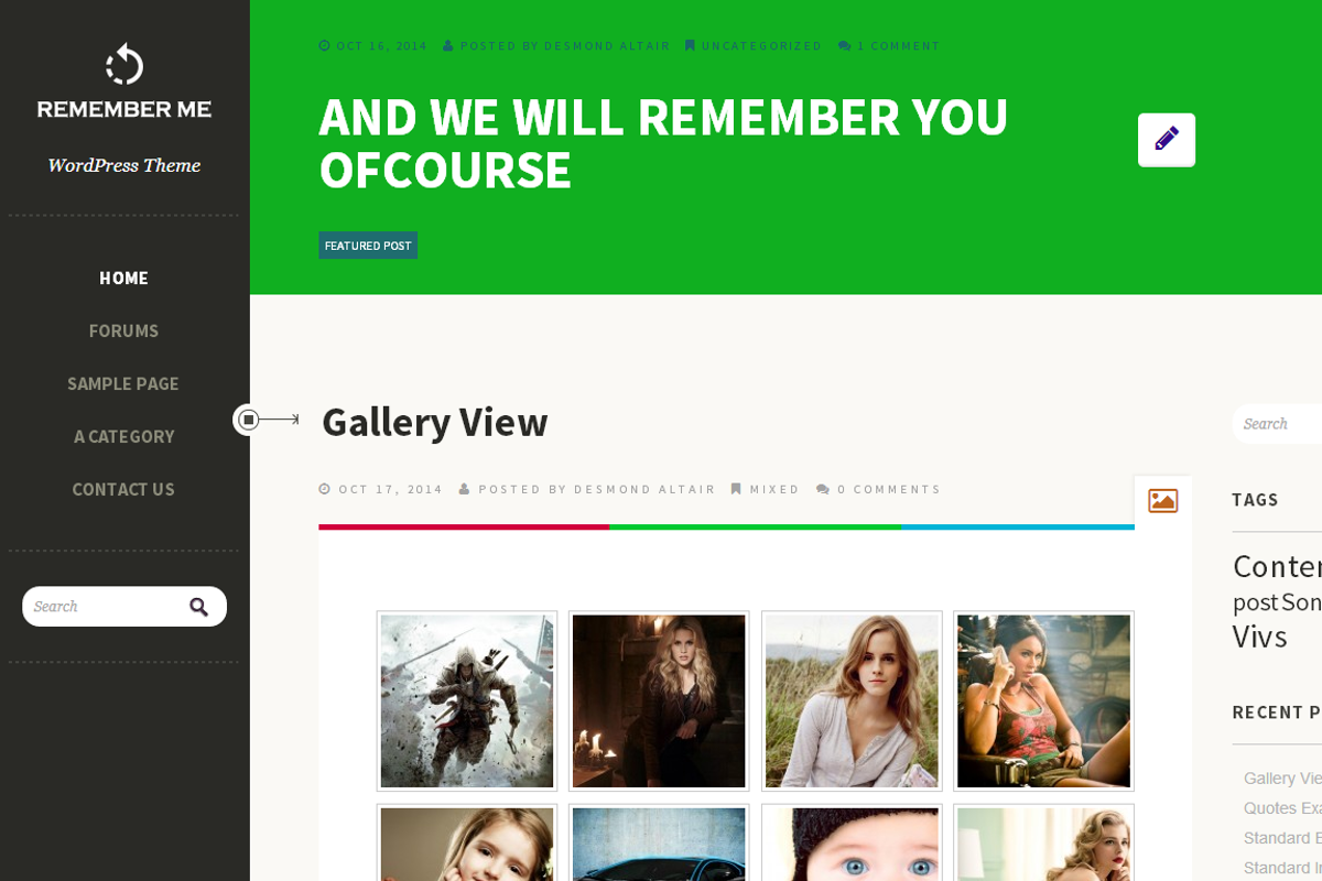 Rmemeber Me - Responsive WP Theme, a WordPress Template by UltraFX (Photo 1 of 5)