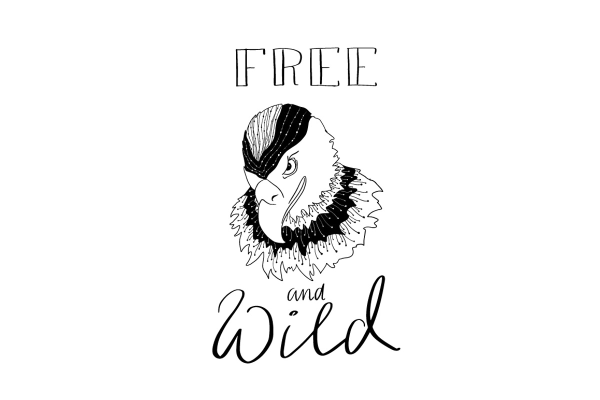 Free and wild.Doodling collection, an Animal Illustration by Funny-sunny (Photo 10 of 13)