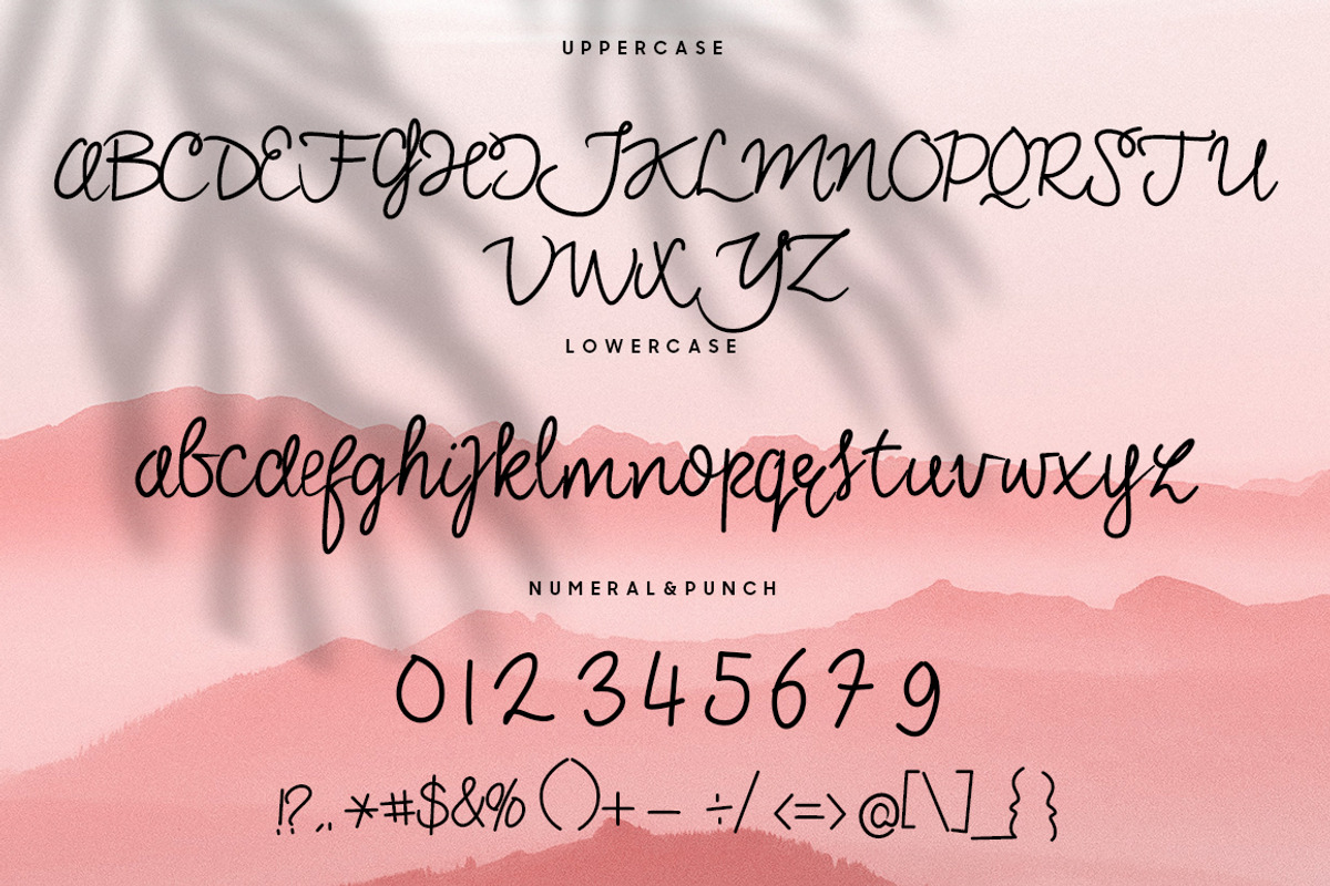 Sonia Monoline Script, a Serif Font by Beka Studio (Photo 7 of 8)