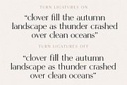 The Retro Font Collection, a Sans Serif Font by Tropical Type (Thumbnail 39 of 49)
