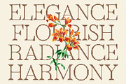 Rivania Disco, a Serif Font by Craft Supply Co. (Thumbnail 5 of 8)