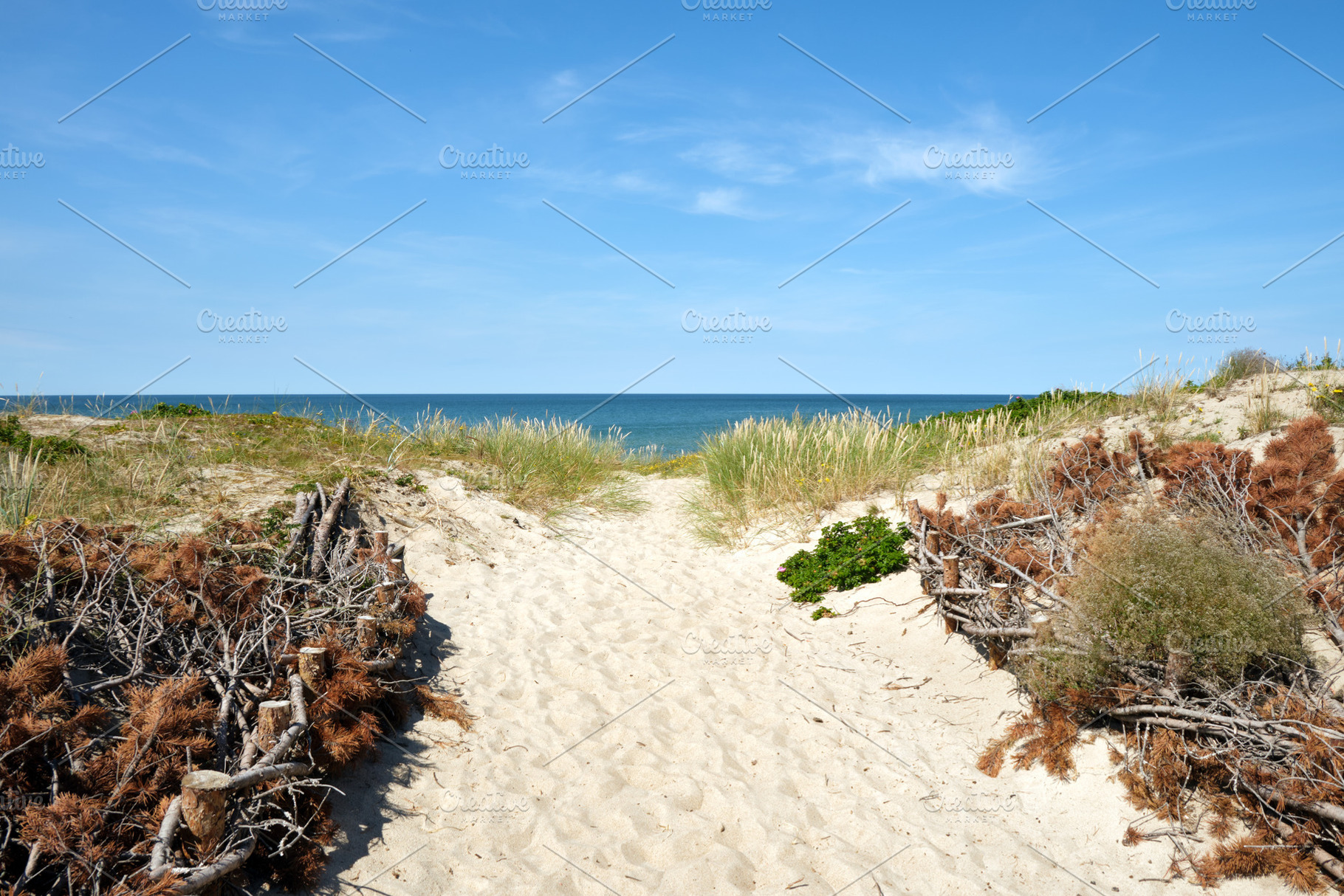 Footpath to the sea on sandy beach, a Nature Photo by BOOCYS