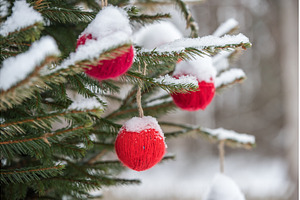 Red wool ball hanging on the green, a Holiday Photo by COLORFUL