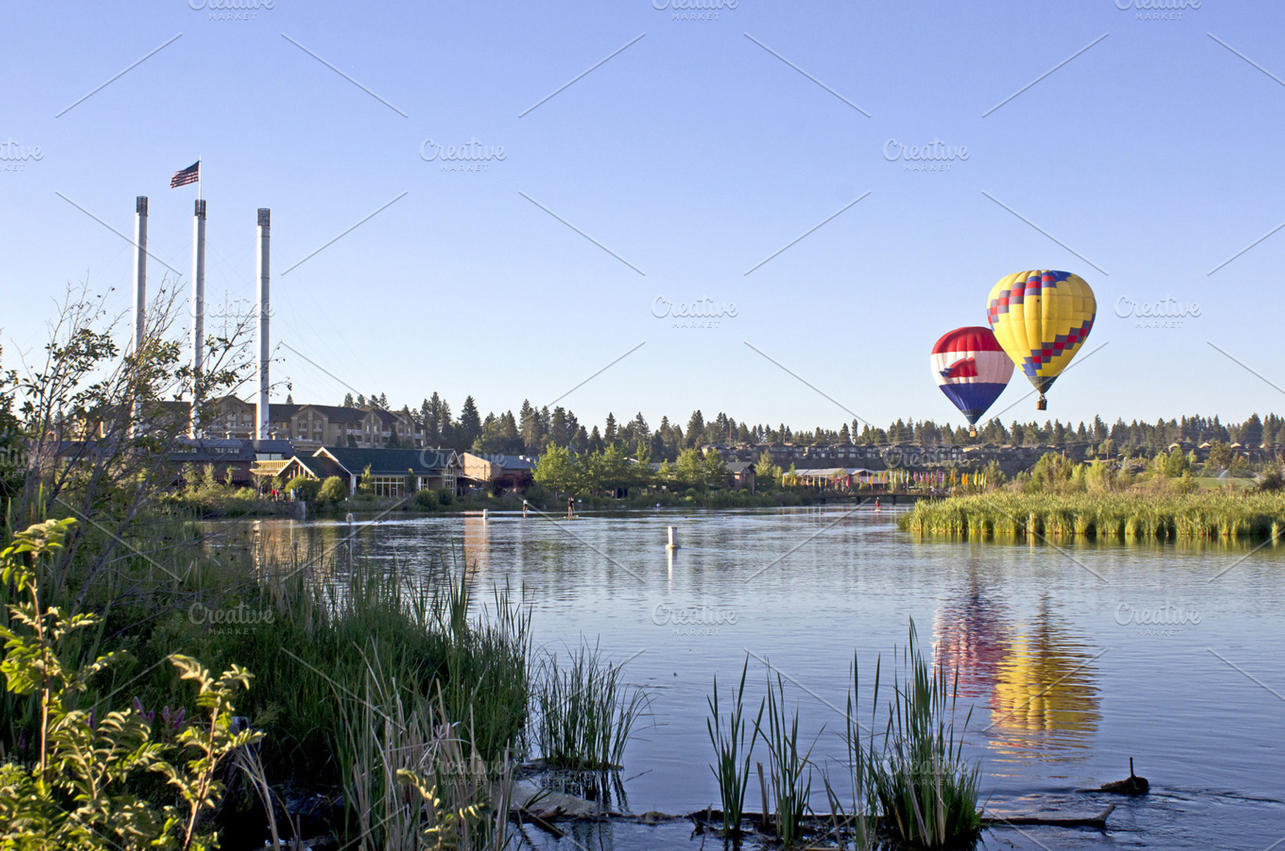 Carnival Air Balloon Picture